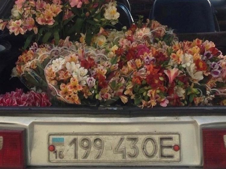 樱桃味混凝土 thumbnail