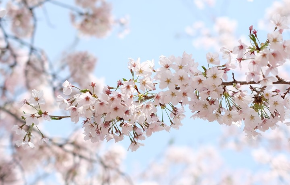 •○•! thumbnail