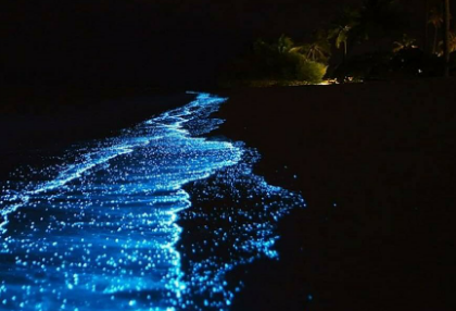 좀 더 중요한 것. thumbnail