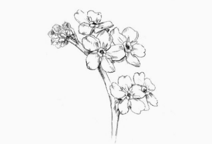 플레네 꽃집 thumbnail