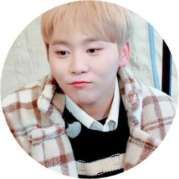 부승관 image