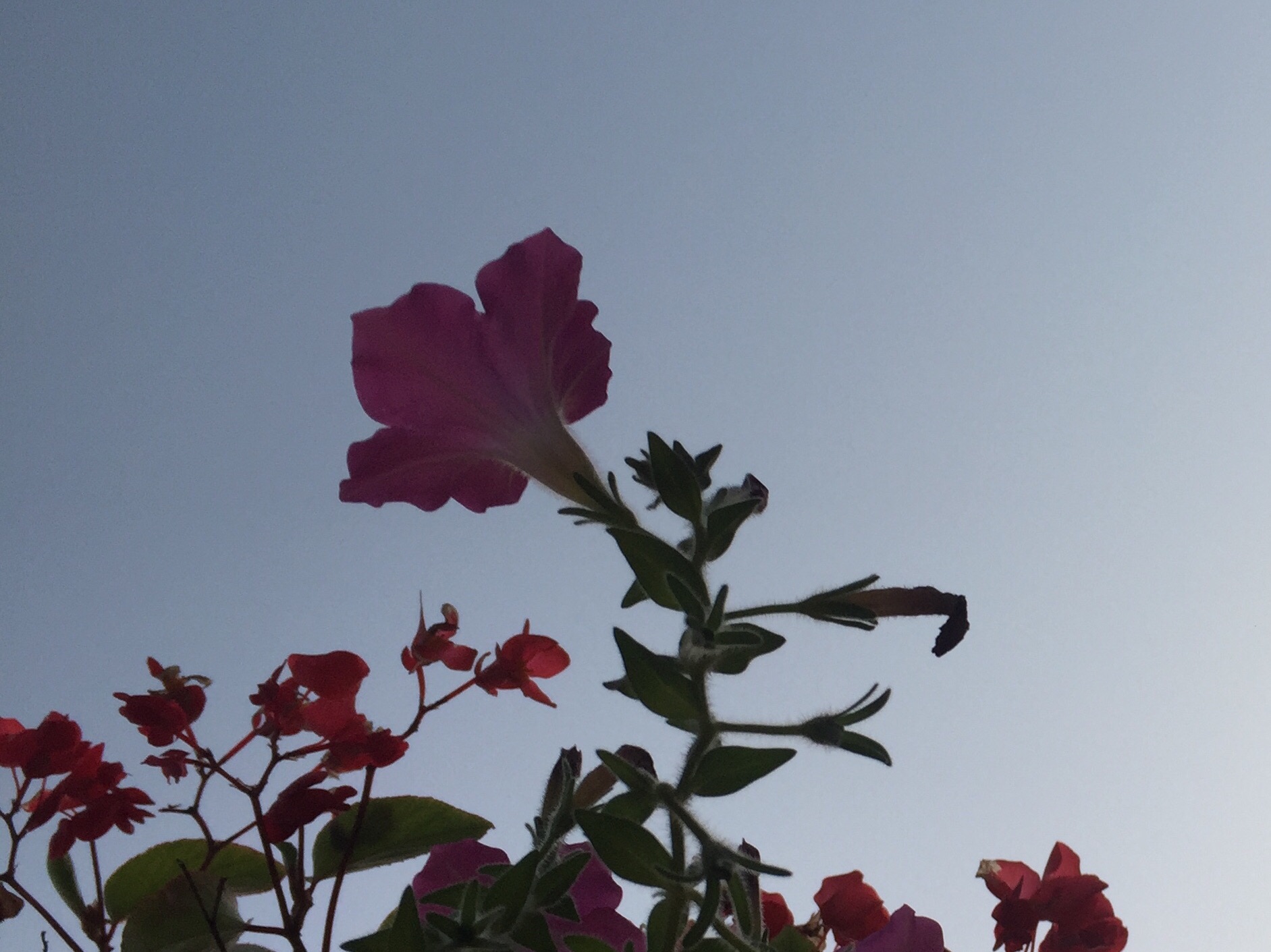 luogo di riunione :: H6 thumbnail