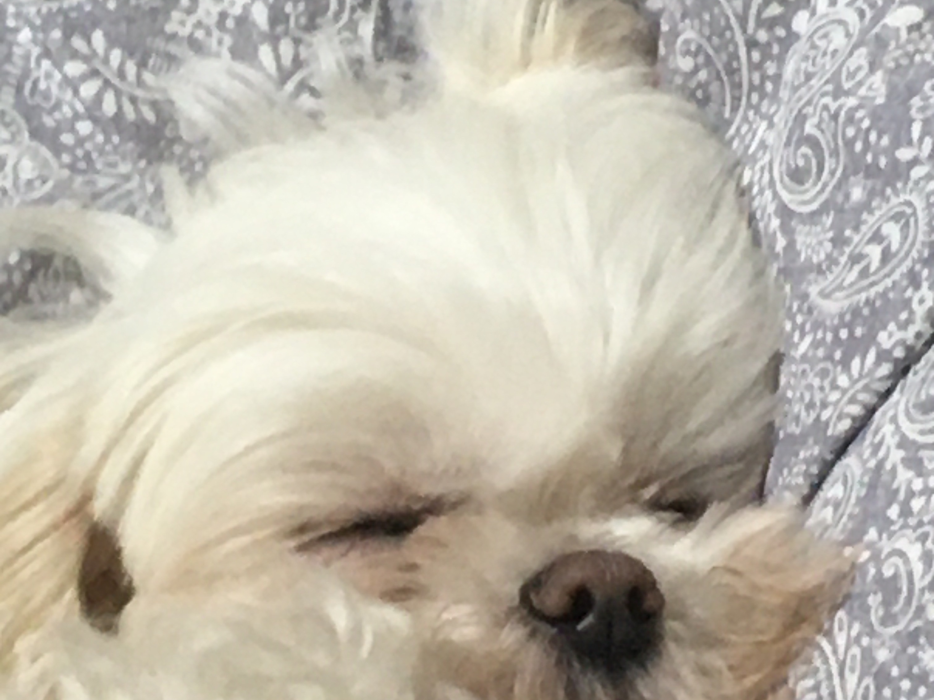 0: Primera reunión thumbnail