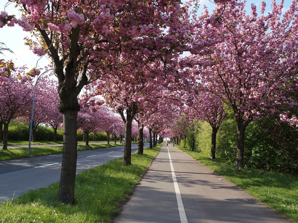 Apa yang harus kita lakukan dengan segitiga cinta kita?? thumbnail