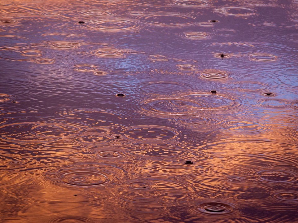 위로해줄게요 thumbnail