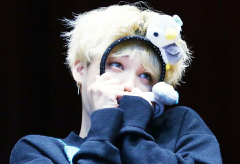 我帶了一隻貓。 thumbnail