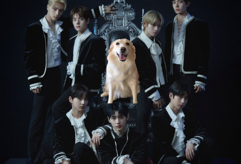 엔하이픈 기븐 테이크 🎉 thumbnail