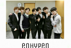 ENHYPEN의 WHO thumbnail