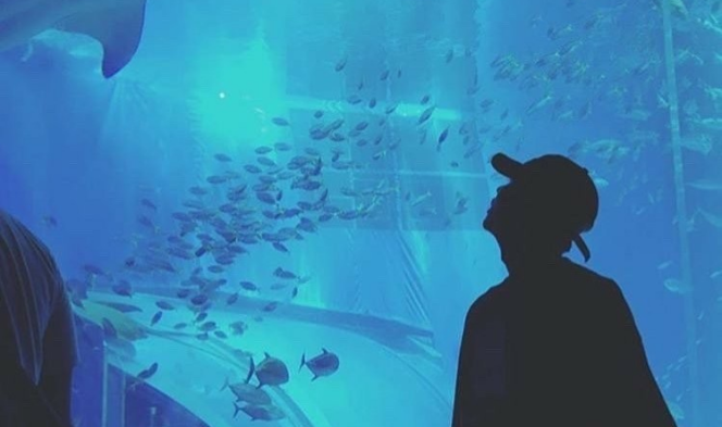 Tentang keseharianku thumbnail