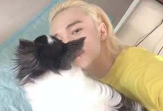 우리는 개 때문에 사랑에 빠졌어요. thumbnail