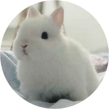 토끼) 전 여 주 image