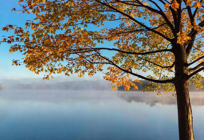 有點傷到我心了 thumbnail