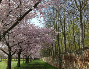 我们的经理是半人半兽。 thumbnail