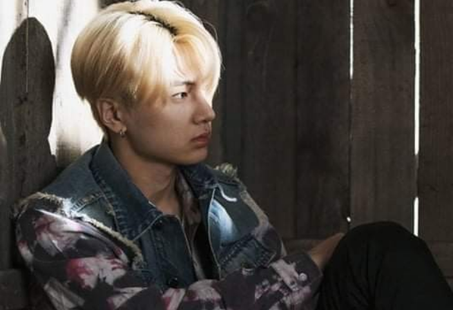 burung jay biru thumbnail