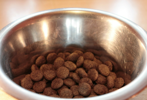 ARFARAFRAFWOOFWOOOF BARKBARK thumbnail