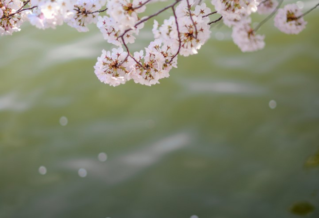 One sided Love thumbnail