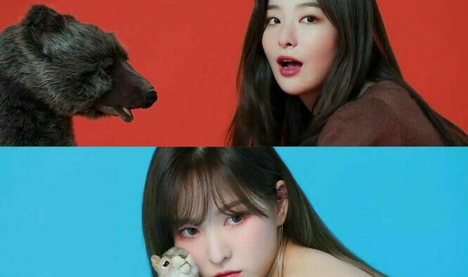 슬기 애니멀스 thumbnail