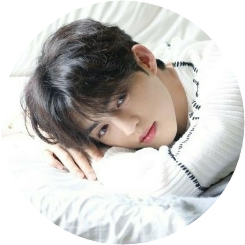 최 승 철 image