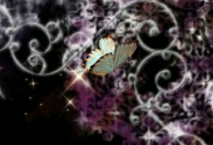 德维尔公主 thumbnail