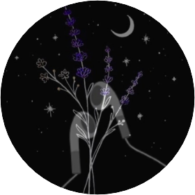 Author✨ image