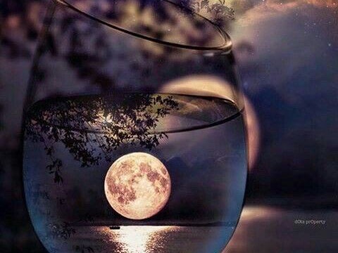 빛속에서 별이 빛나는 그날에 다시✨ thumbnail