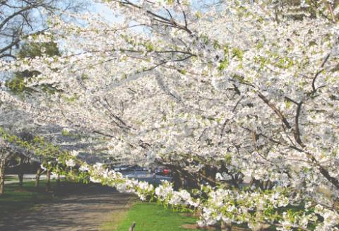 あなたは私のすべて thumbnail