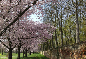 겨우의 공지 방 thumbnail