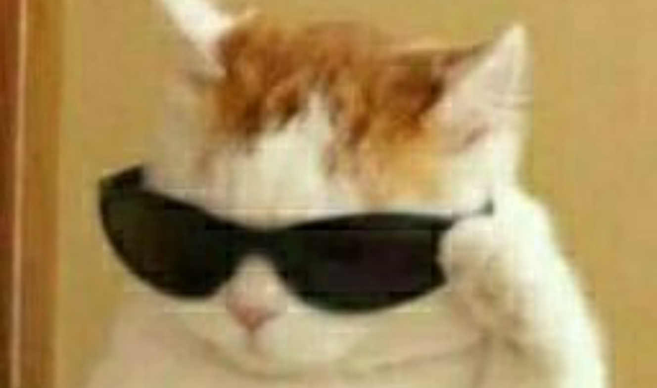 热寄宿公寓 thumbnail