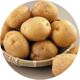 감자(5살) image