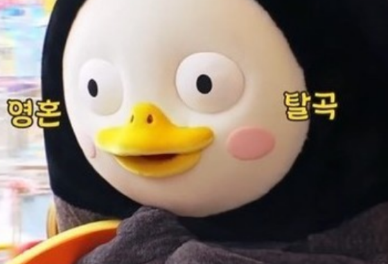 半月形！ ！ ？ ？ thumbnail