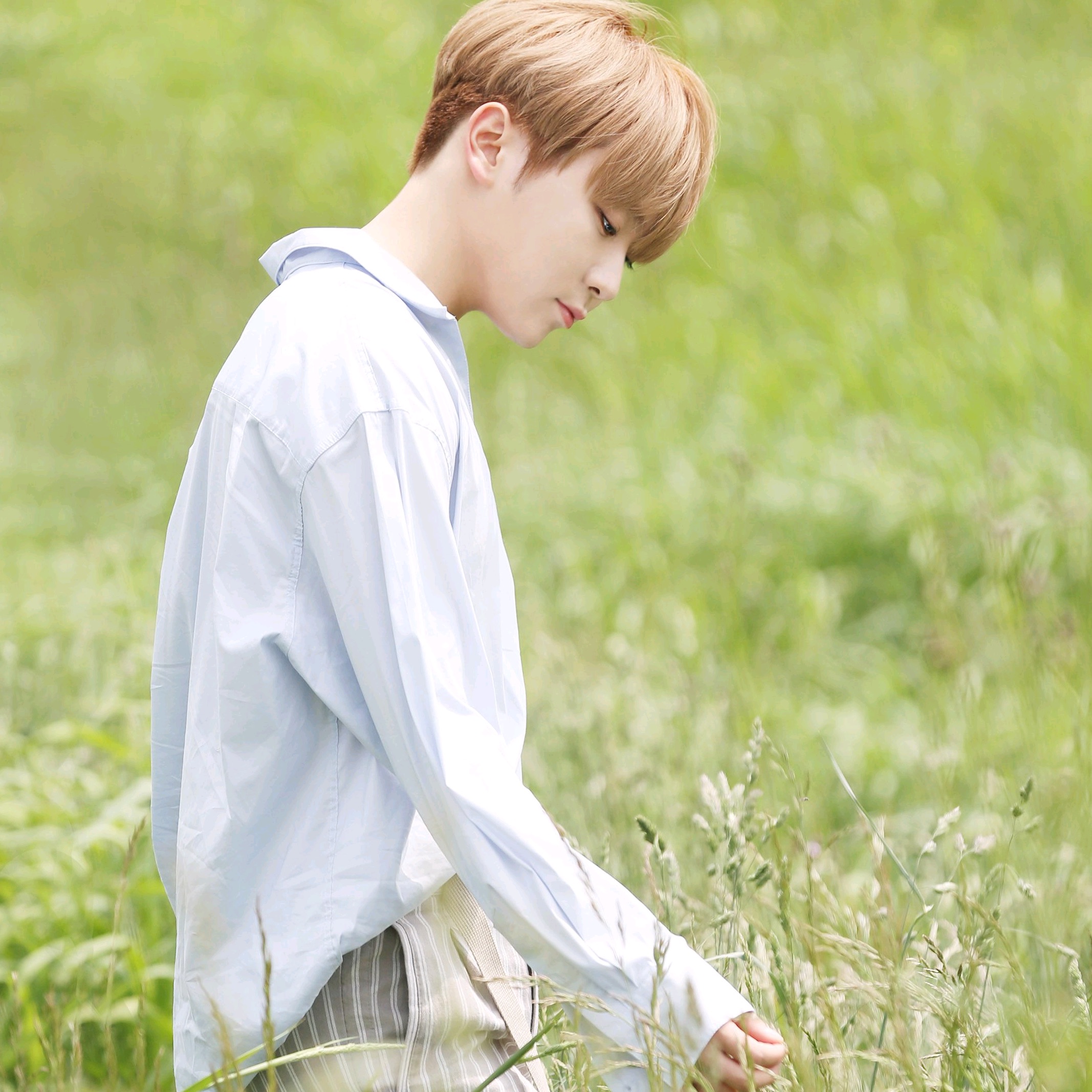 부승관 ( 순경 ) image