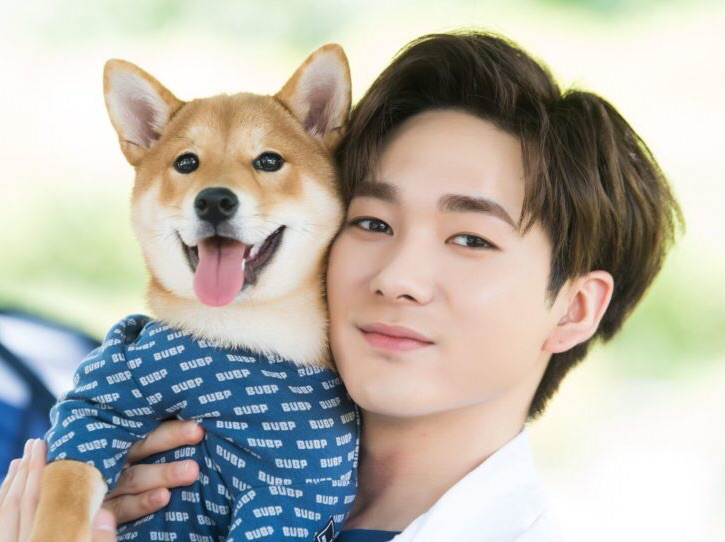 Vota por NU'EST Aron 🐶 thumbnail