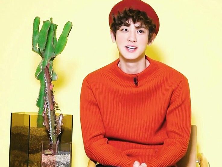 찬열/세훈에게 사랑을 담아 thumbnail