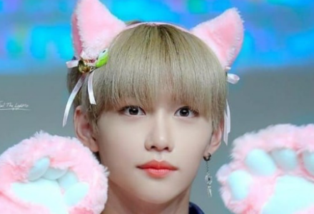 아름다운 작은 고양이 thumbnail