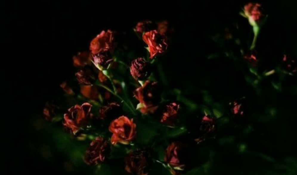 붉은 달 ° thumbnail