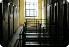 La vie sage en prison de Red Velvet thumbnail