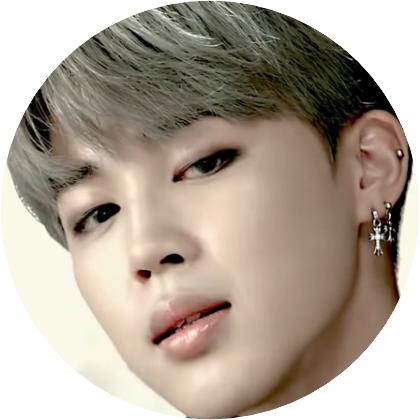 JIMIN-SSI image