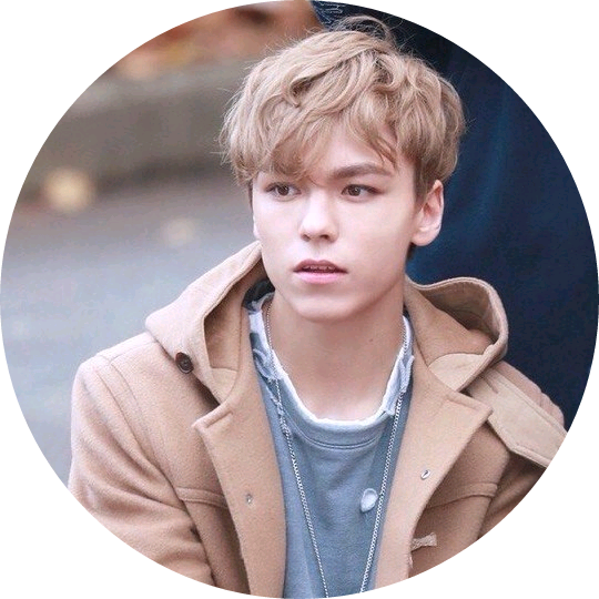 버논(최한솔) image