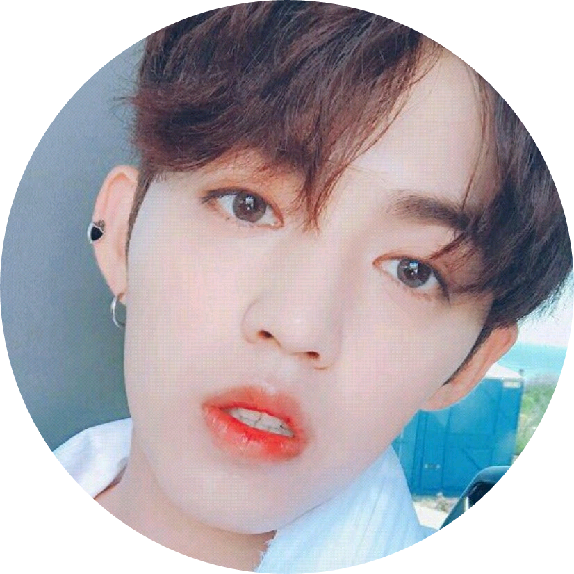 에스쿱스(최승철) image