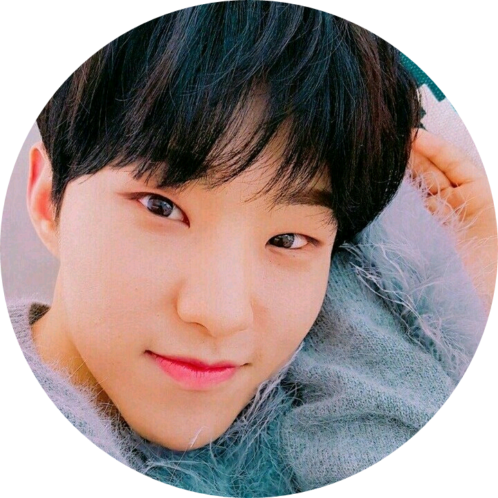 호시(권순영) image