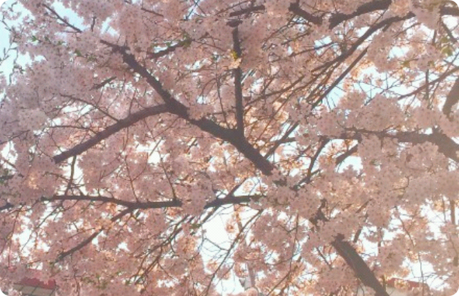 단편 모음 thumbnail