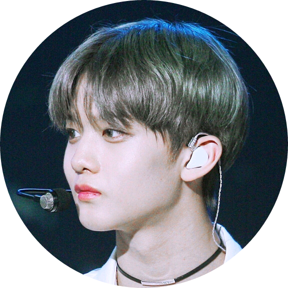 배진영 image