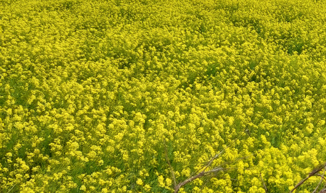 I ended up working as a dance club manager! thumbnail