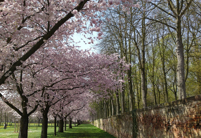 8개의 jsjs thumbnail