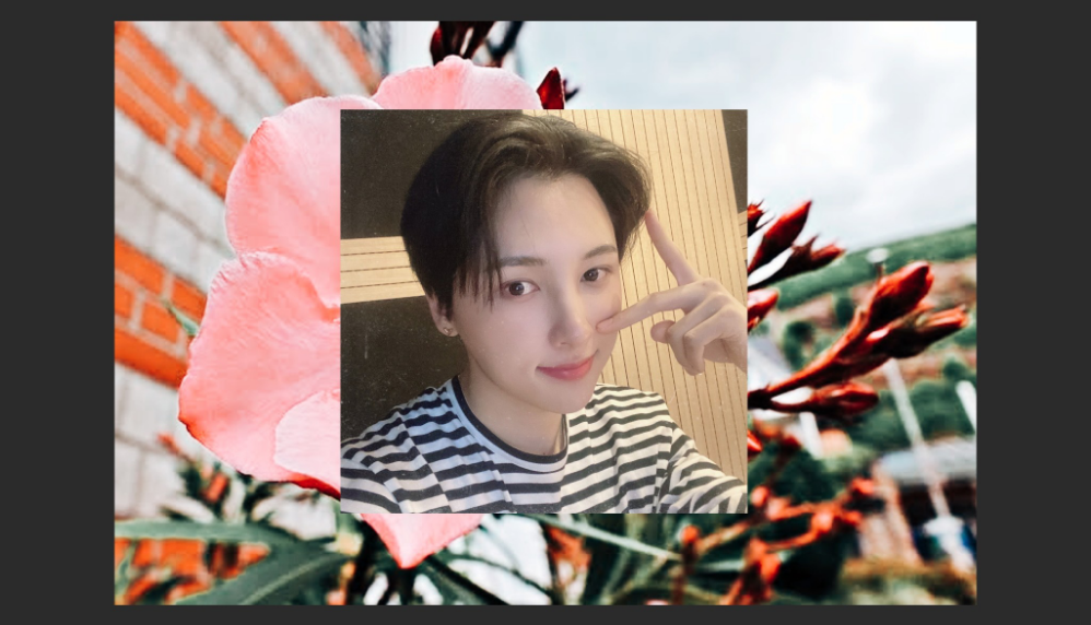 리에의 유일한 하나 thumbnail