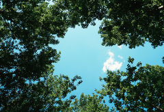 이게... 사랑인가요? thumbnail