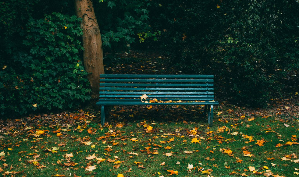 問題、問答等。 thumbnail