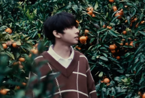 오렌지 시어리 thumbnail