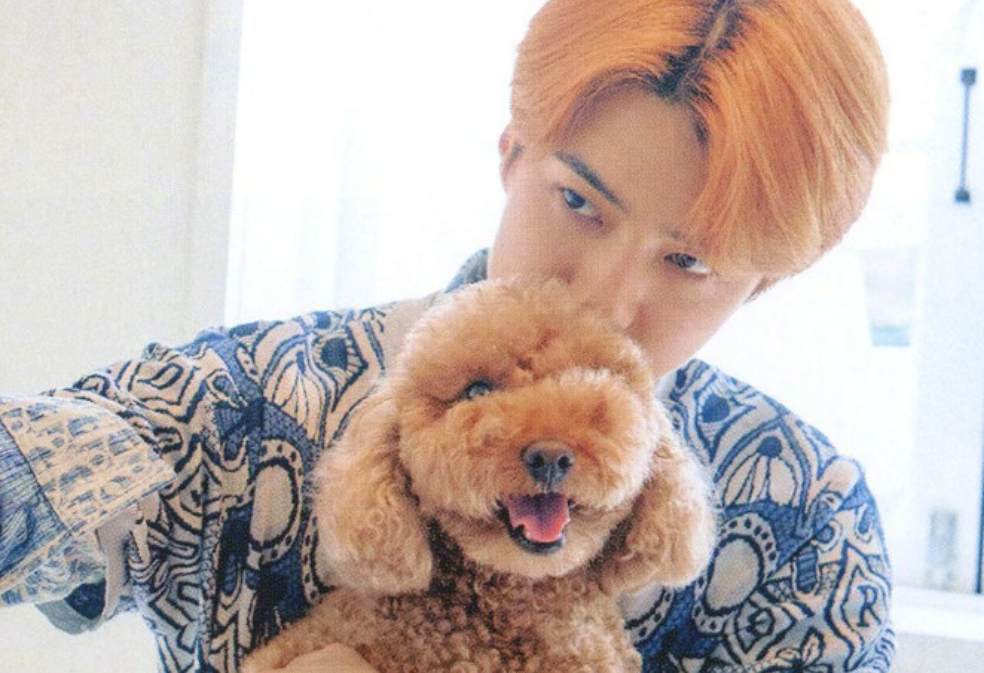 세훈에게 투표하는 거 잊지 마세요! thumbnail