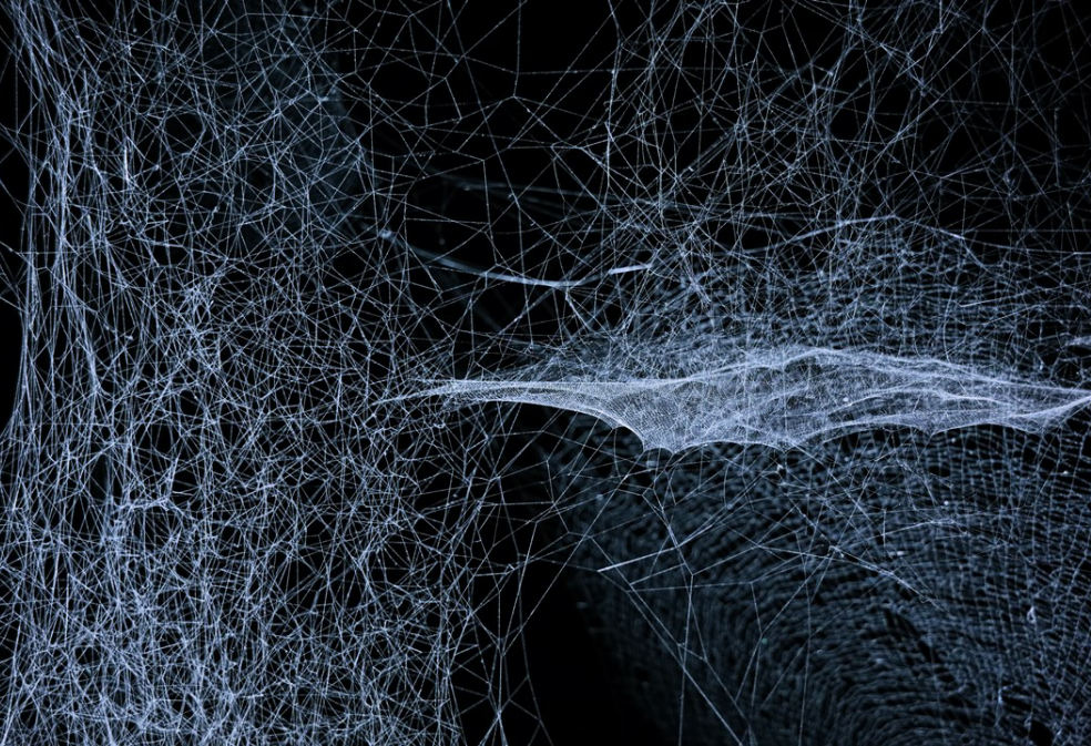 Exploring The Haunted House  thumbnail